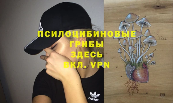 первитин Алексин